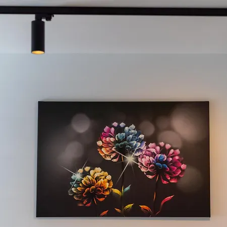 Topolowa Modern By Bookinghost *